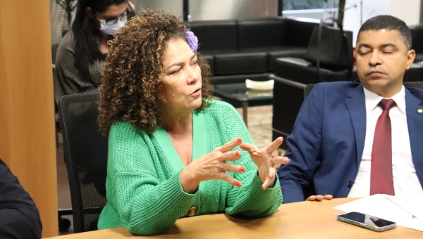Perpétua comenta visita de Musk ao Brasil e questiona governo sobre vantagens oferecidas ao bilionário